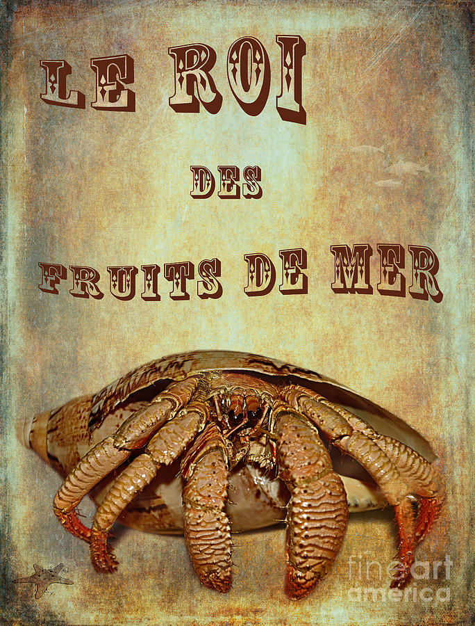 Shell Photograph - Le Roi des Fruits de Mer by Kaye Menner