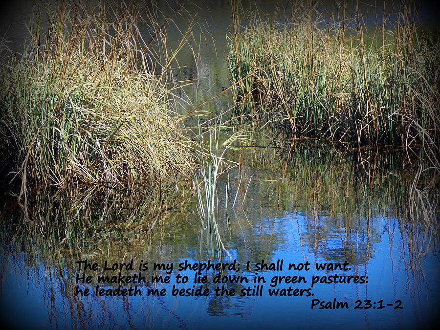 Lead Me to Still Waters Photograph by Sheri McLeroy