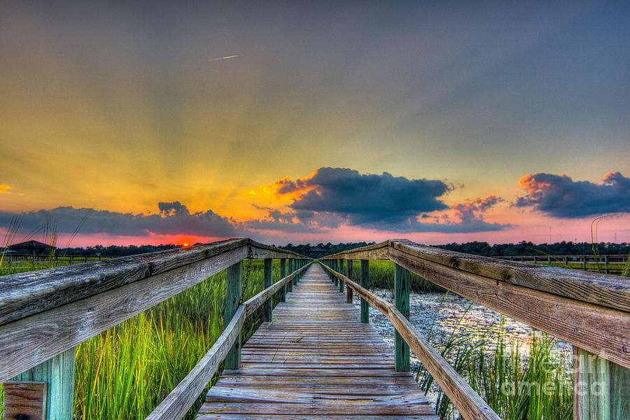 Leading Lines Photograph by Matthew Trudeau