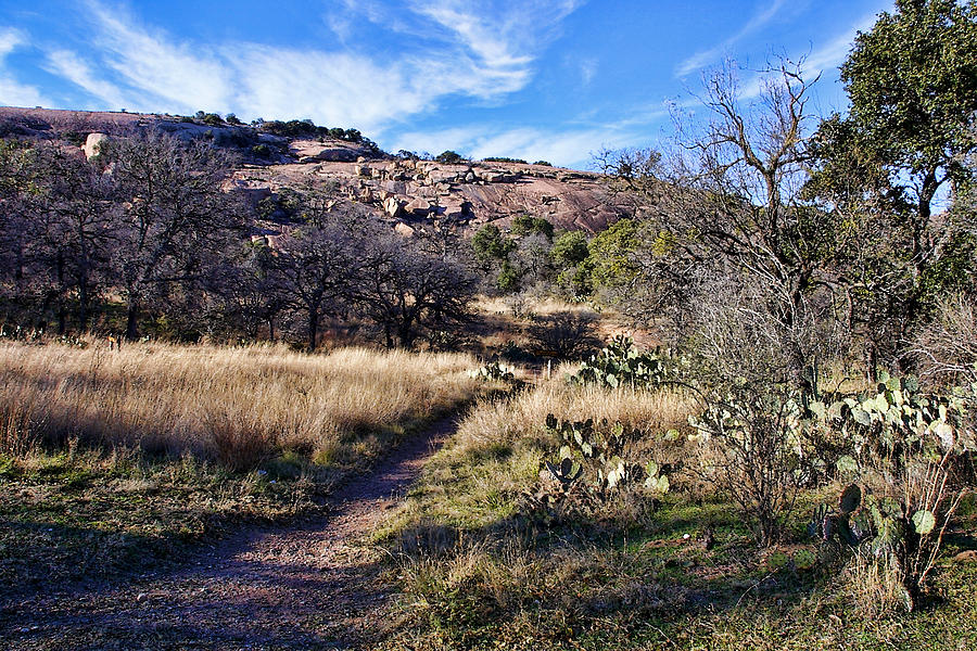 Leading Path to Enchanted Rock Photograph by Linda Phelps