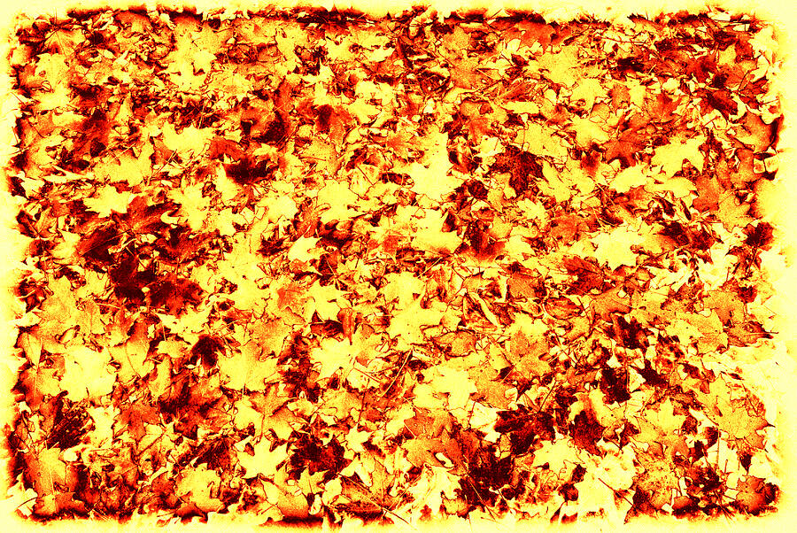 Leaf abstract Photograph by Paul W Faust -  Impressions of Light