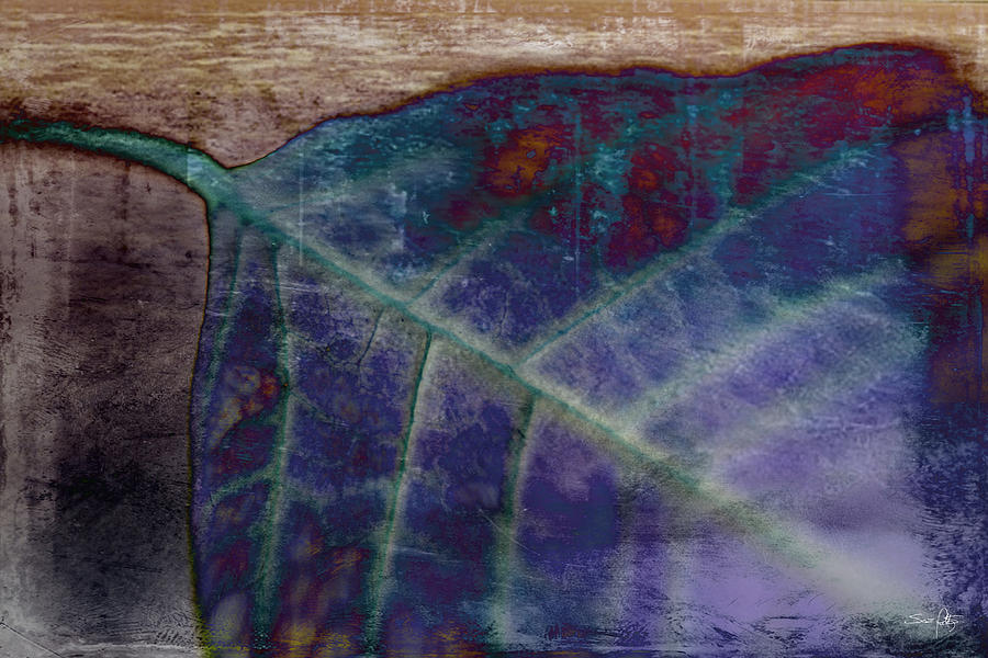 Leaf Abstract Photograph by Scott Pellegrin