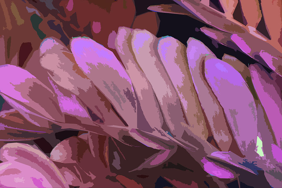 Leaf Abstraction Digital Art by John Lautermilch