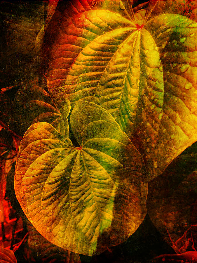 Leaf Art  Photograph by Dave Bosse