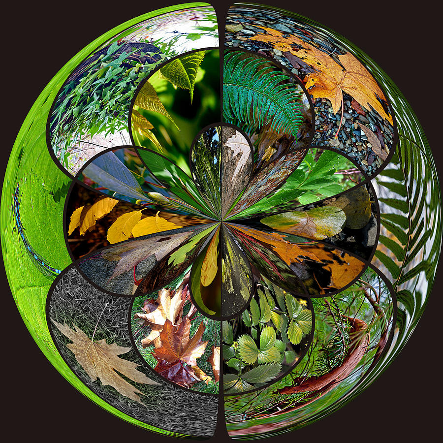 Leaf Collage Orb Photograph by Tikvahs Hope