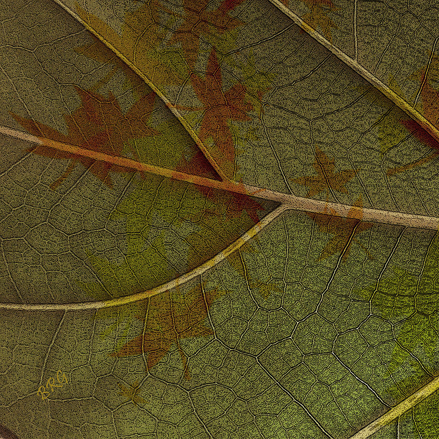 Leaf Design I Photograph by Ben and Raisa Gertsberg