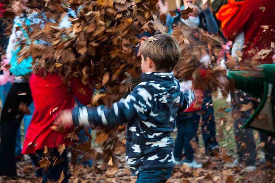 Fall Photograph - Leaf Fight by Celeste Shuler
