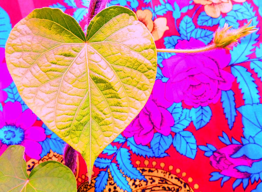Leaf Heart Photograph by Julia Ivanovna Willhite