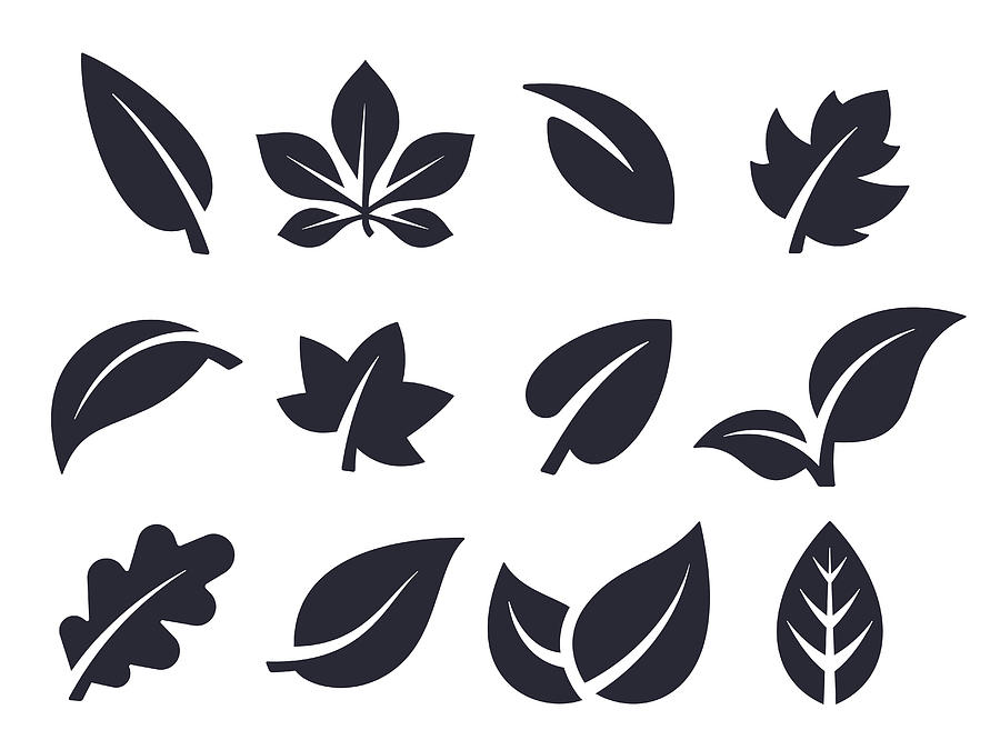 Leaf Icons and Symbols Drawing by Filo