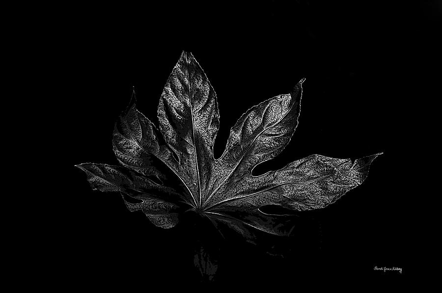 Leaf in the Dark Photograph by Randi Grace Nilsberg