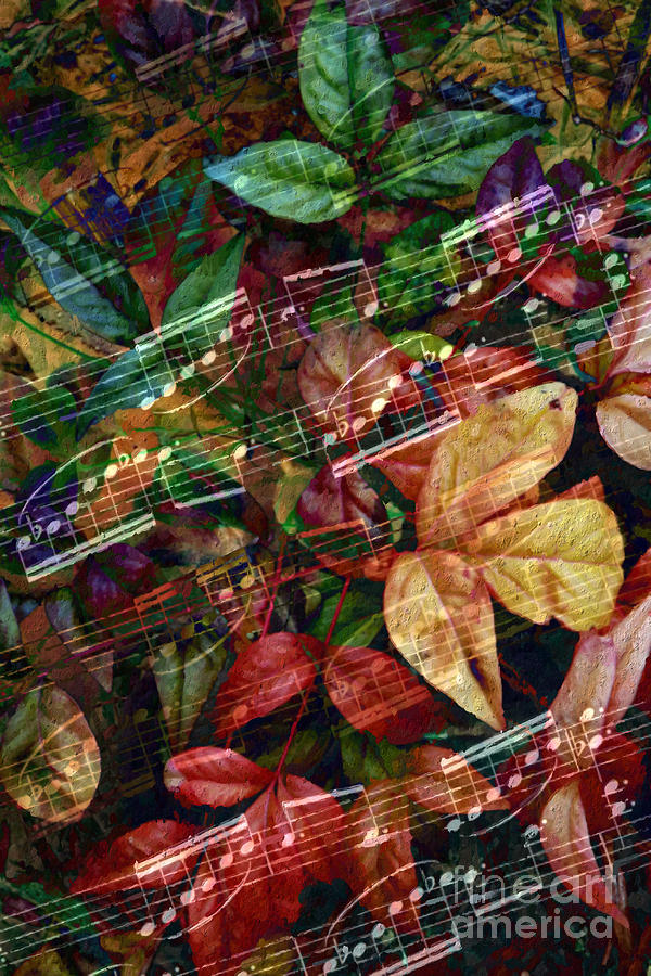 Music Digital Art - Leaf Motif by Lon Chaffin