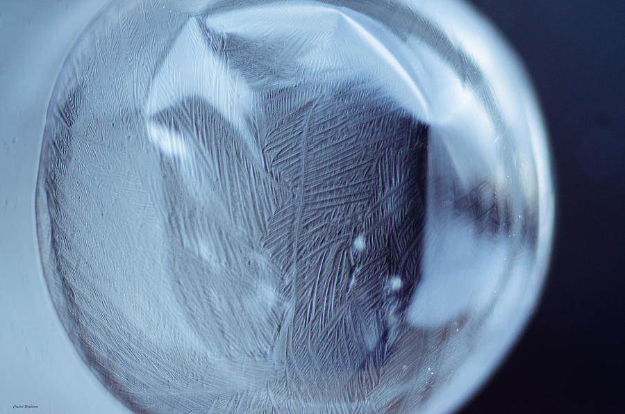 Frozen Bubble Leaf Pattern Photograph by Crystal Wightman
