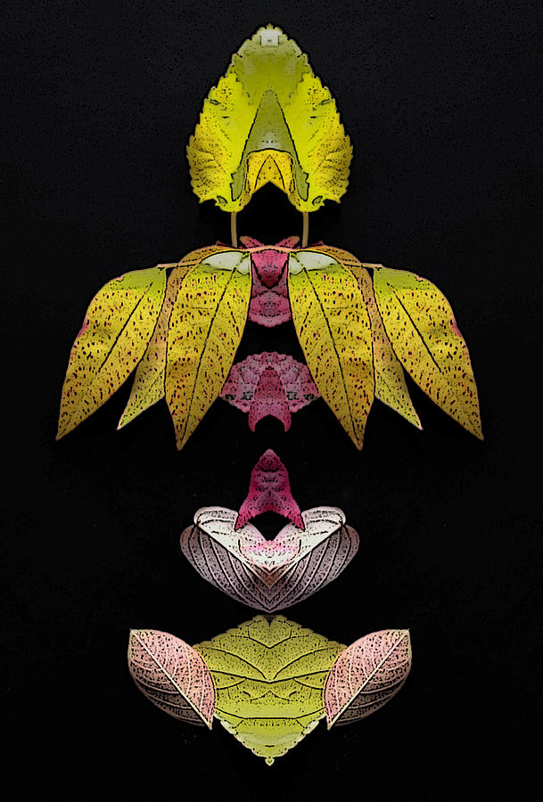 Leaf Pendant Photograph by Floyd Hopper
