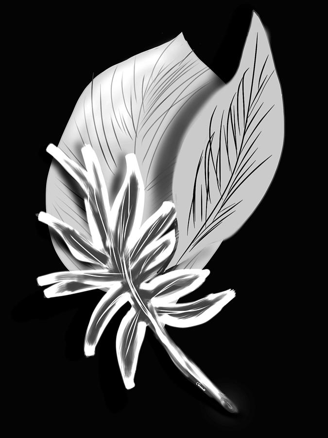 Leaf ray Digital Art by Christine Fournier