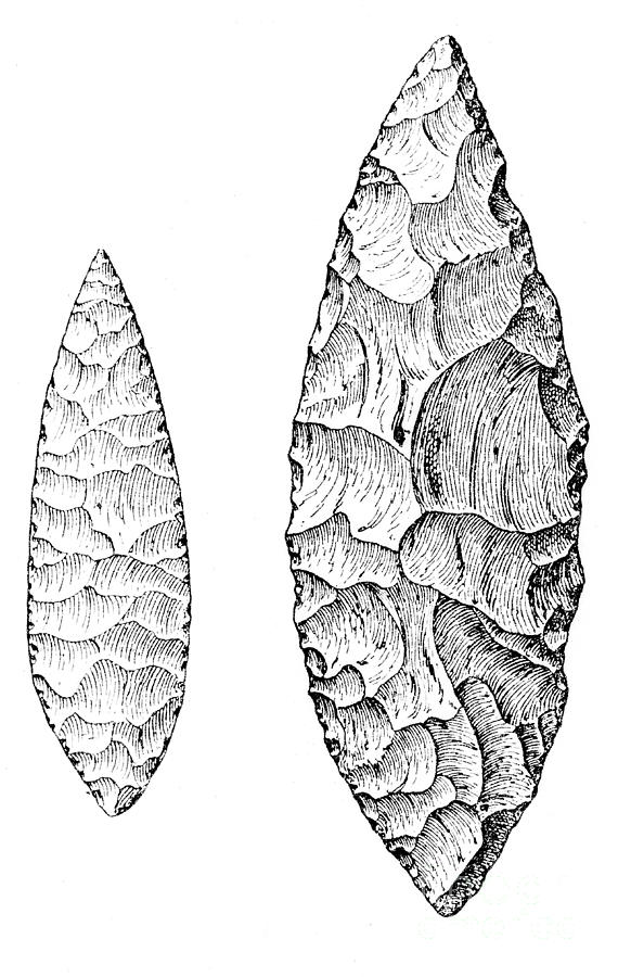 Leaf-shaped Flint Implements, Upper Photograph by Wellcome Images