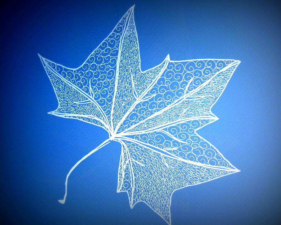 Tree Digital Art - Leaf Study 2 by Cathy Jacobs