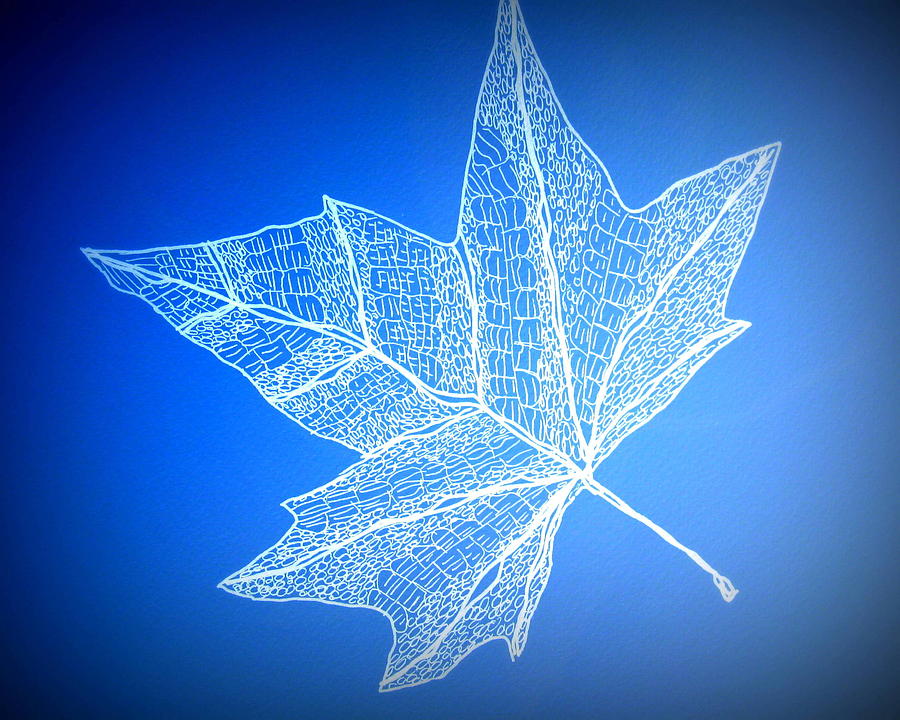 Leaf Study 3 Digital Art