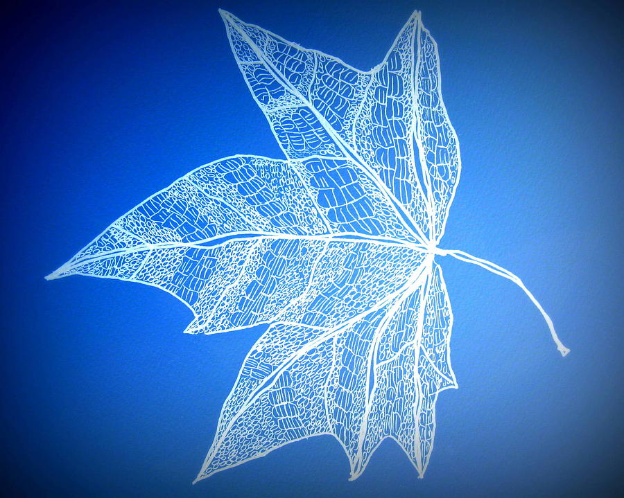 Leaf Study 5 Digital Art