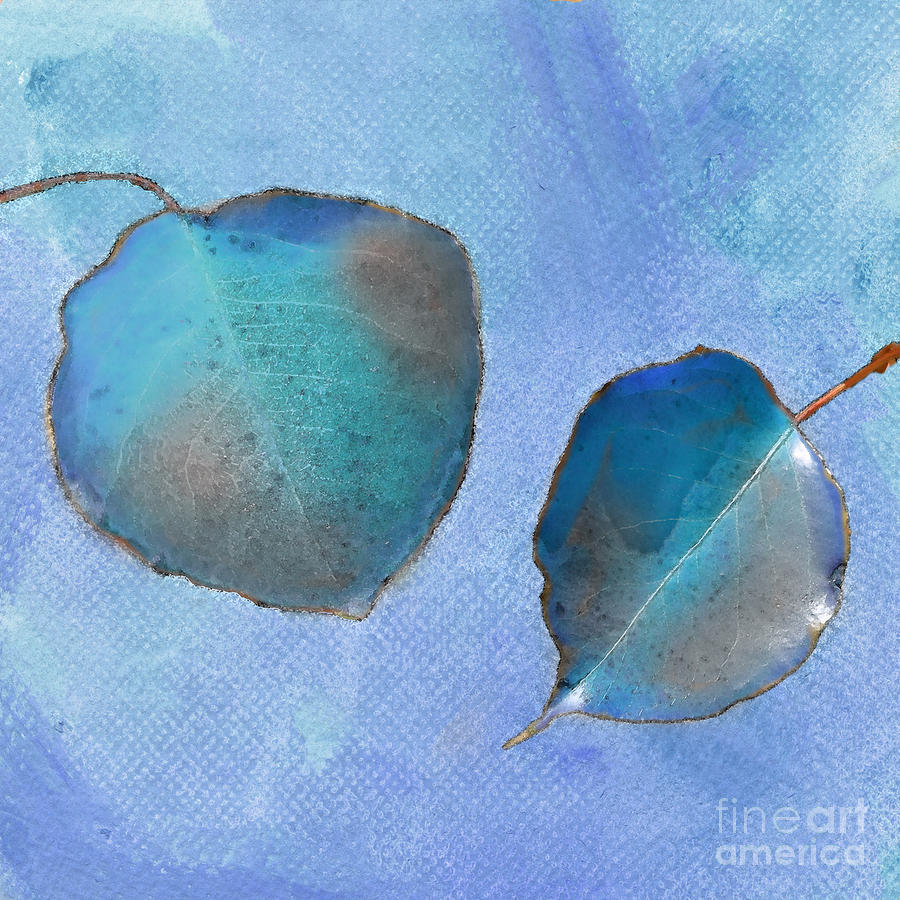 Leaf Study in Blue Photograph by Betty LaRue