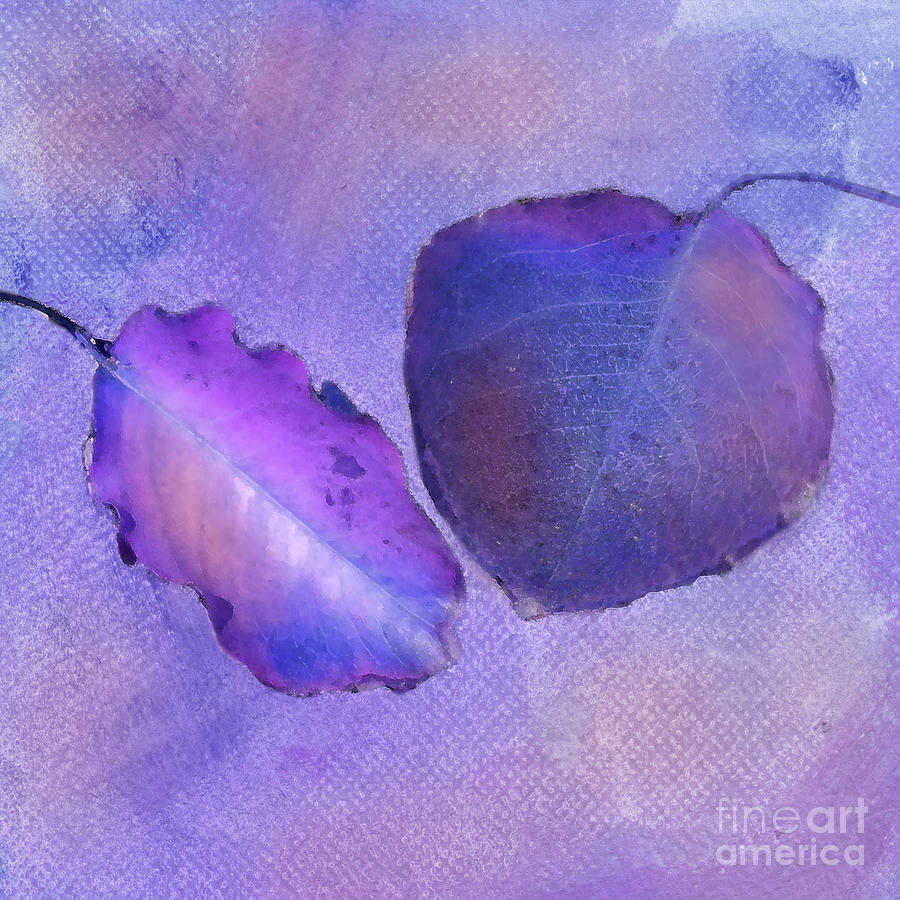 Leaf Study in Purple Photograph by Betty LaRue