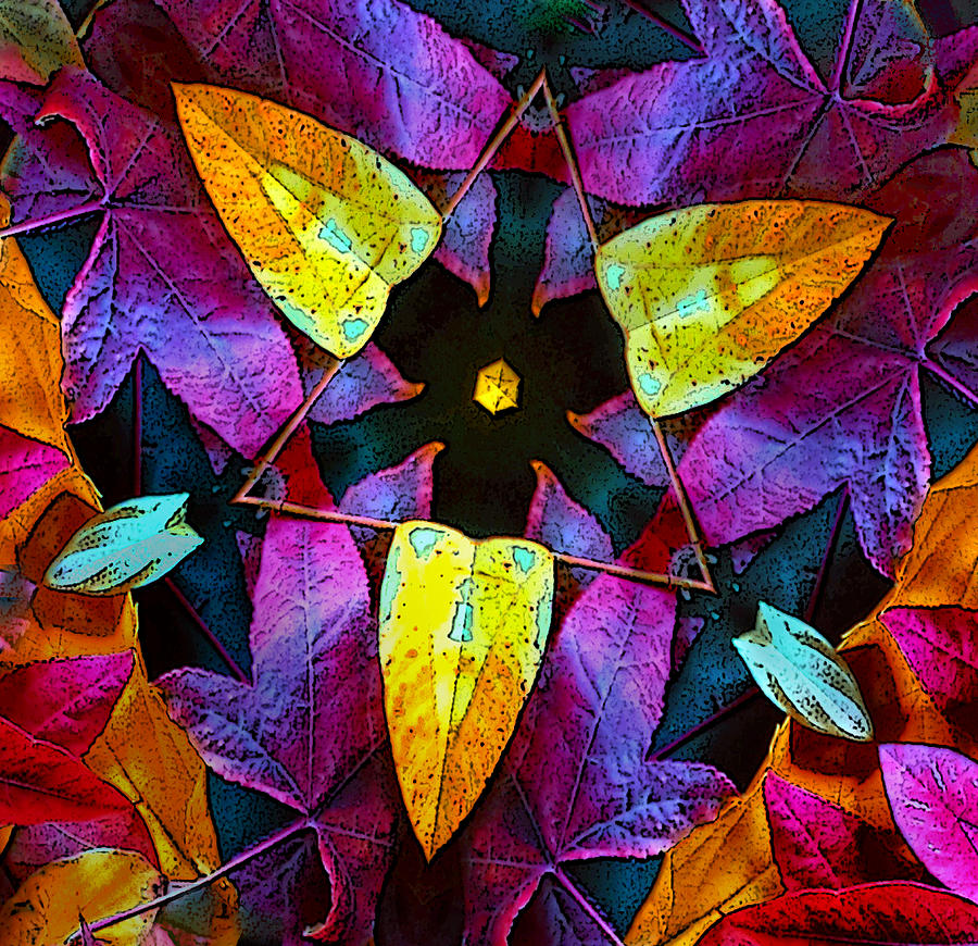 Leaf Triangle Photograph by Floyd Hopper