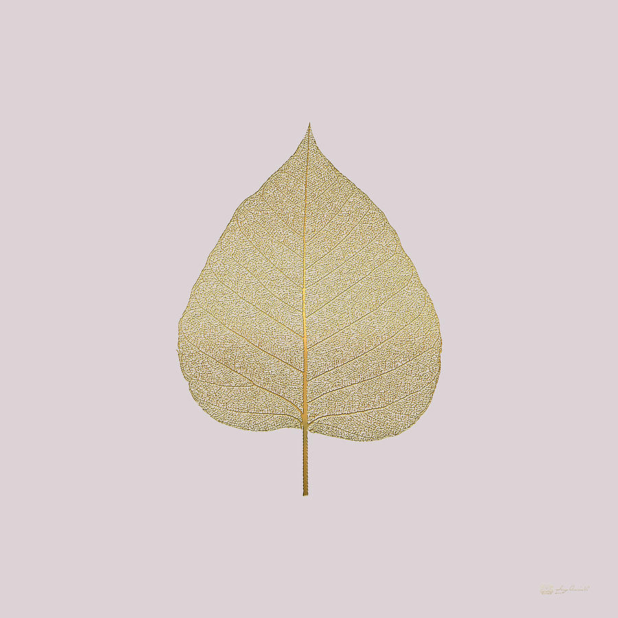 Leaf Veins Skeleton - Leaf Structure in Gold on Champagne Glass Pink  Digital Art by Serge Averbukh