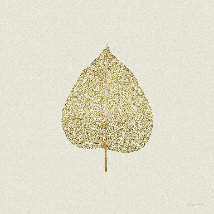 Nature Digital Art - Leaf Veins Skeleton - Leaf Structure in Gold on Linen  by Serge Averbukh
