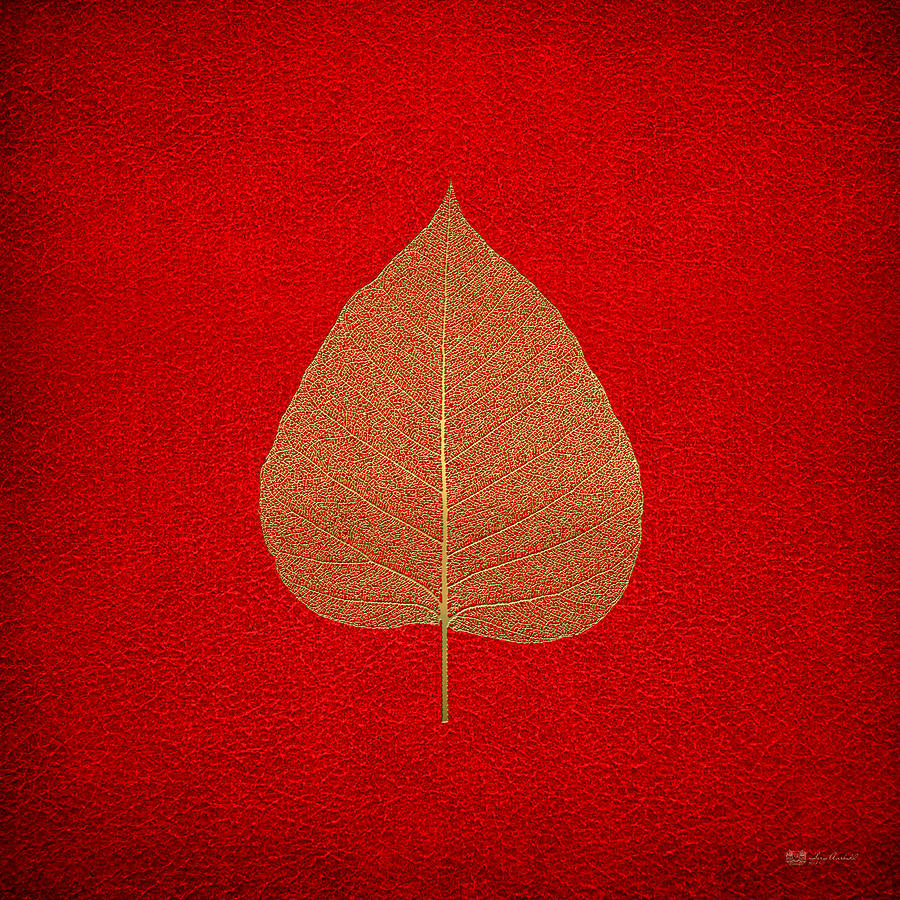 Leaf Veins Skeleton - Leaf Structure in Gold on Red Digital Art by Serge Averbukh