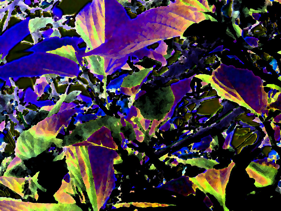 Leafy Digital Art by Eric Forster
