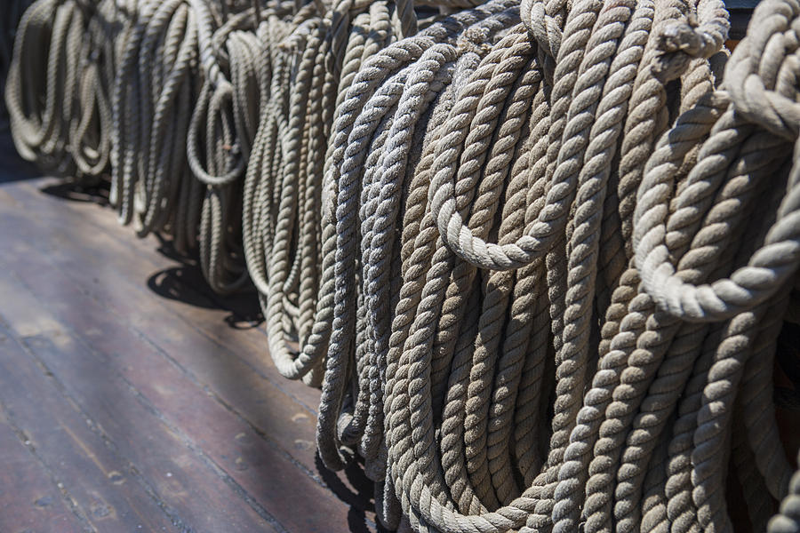 San Diego Photograph - League of rope by Scott Campbell