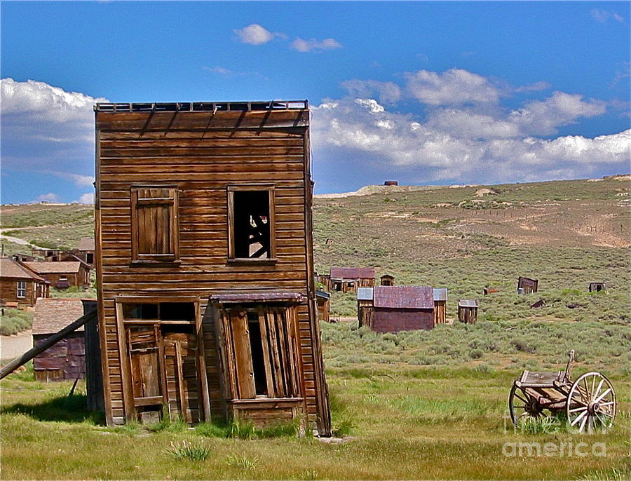Lean To - Bodie Photograph by Amy Fearn