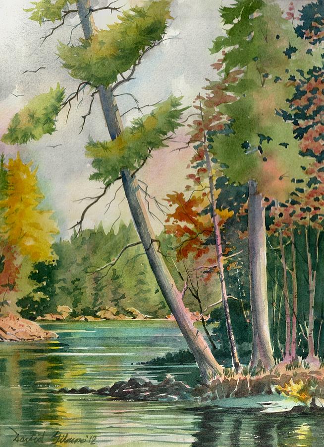 Leaning Pine Painting by David Gilmore