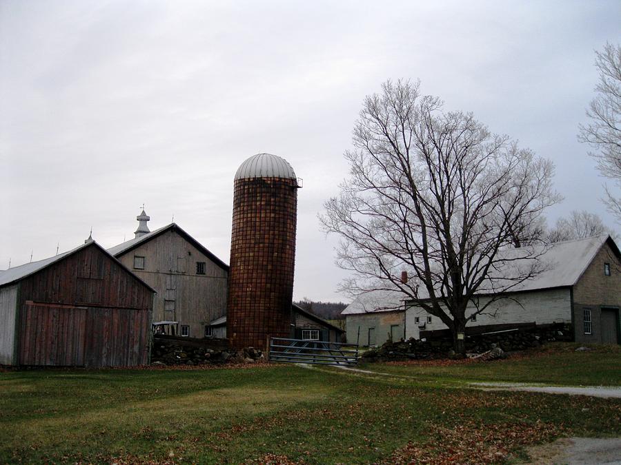 Cow Photograph - Leaning Silo by Will Boutin Photos