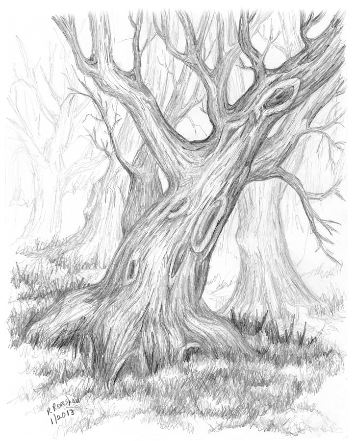 Leaning Tree in Winter Drawing by Ruth Renshaw - Fine Art America