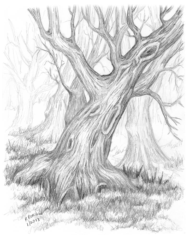 winter tree drawing