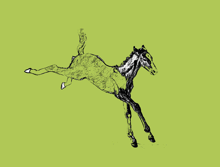 Leaping Foal Greens Drawing