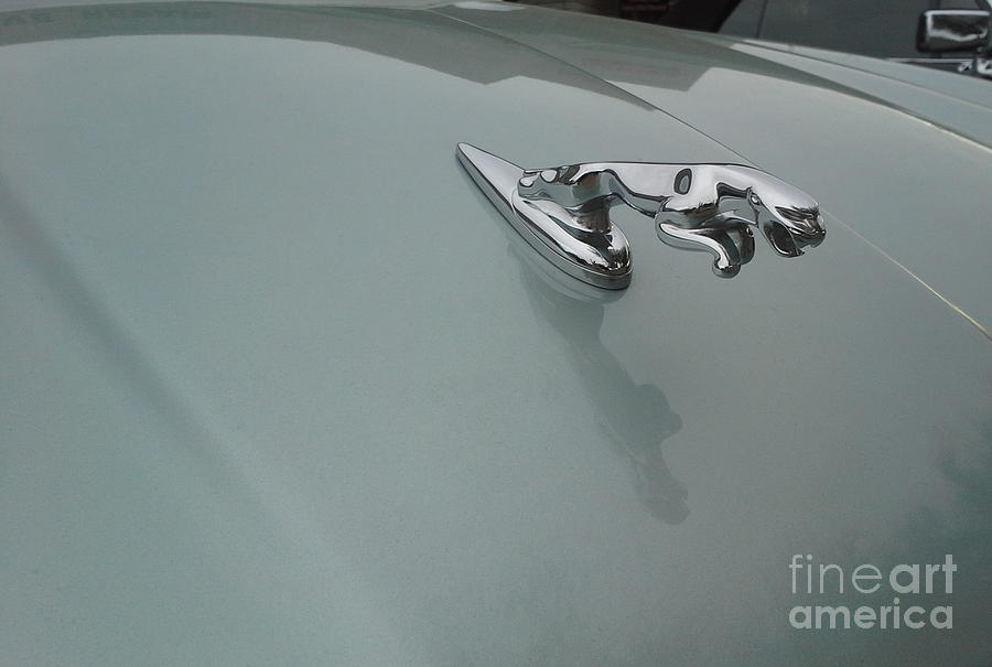 Leaping Jaguar Hood Ornament Number One Photograph by Heather Kirk