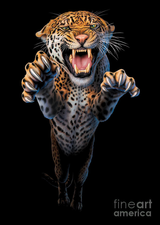 Animal Photograph - Leaping Leopard by MGL Meiklejohn Graphics Licensing