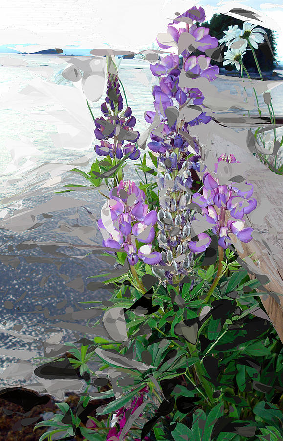 Leaping Lupines Photograph by Susan Stephenson