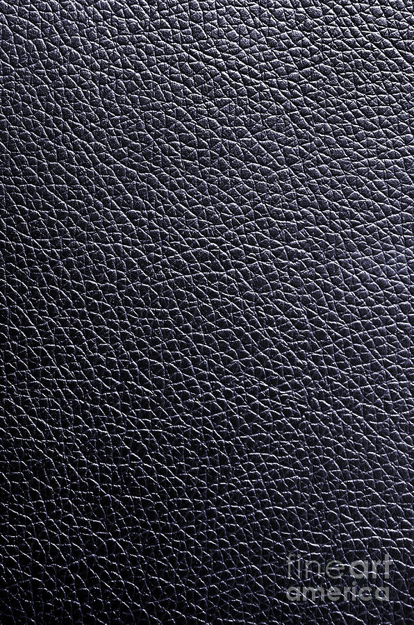 Abstract Photograph - Leather Background by Carlos Caetano