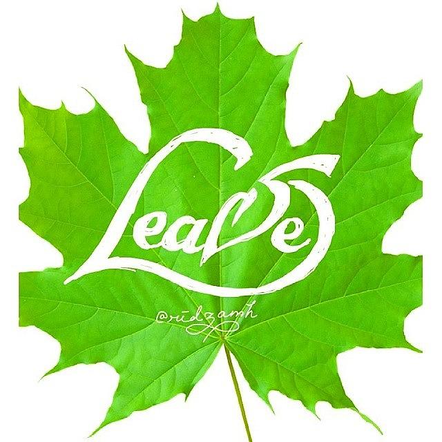 Typography Photograph - Leave. Leaf.

trying Making Art That by Ridza MH