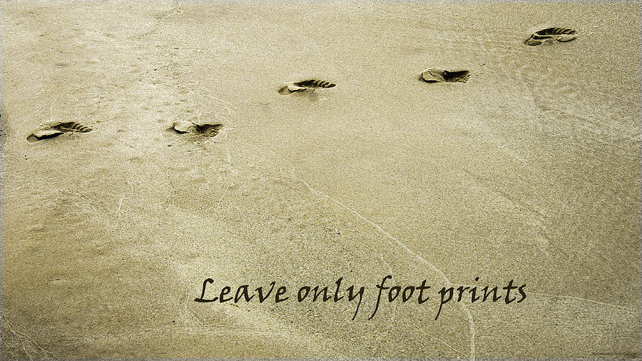 Leave only Foot Prints Photograph by LeeAnn McLaneGoetz McLaneGoetzStudioLLCcom