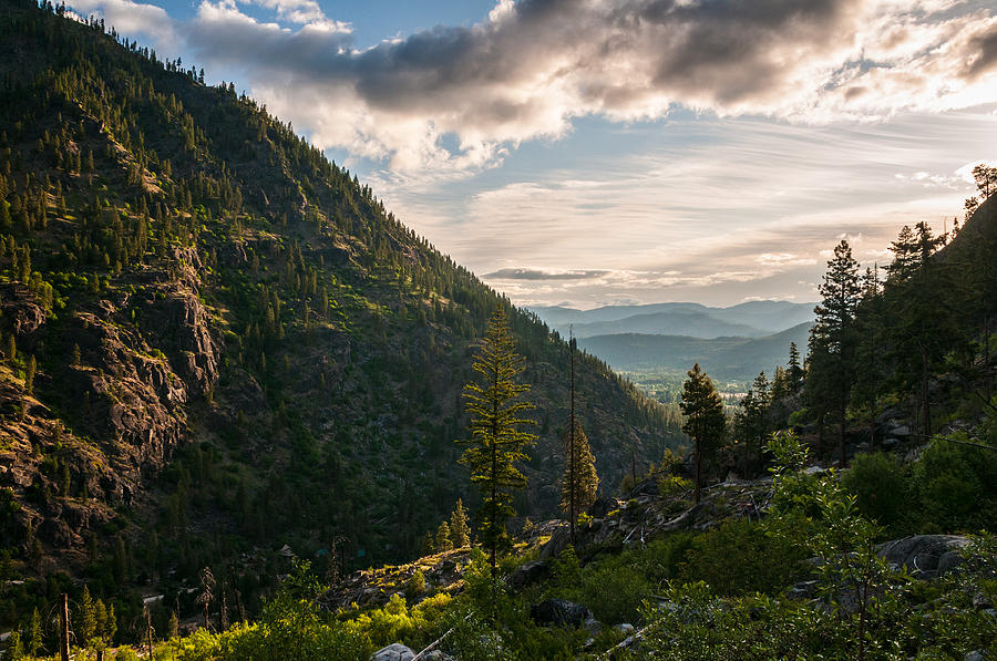 Tree Photograph - Leavenworth Valley at Sunrise by Randal Ketchem