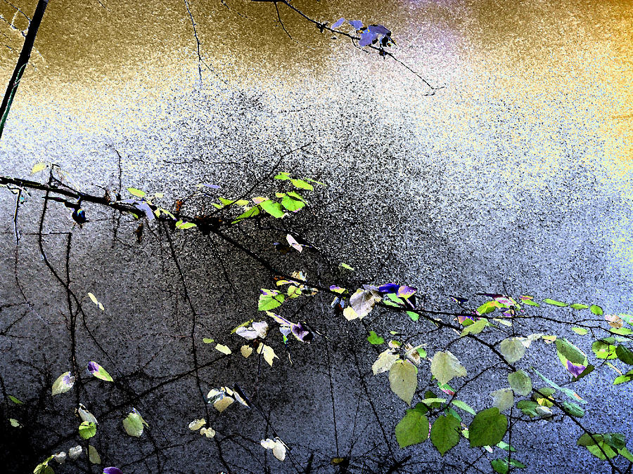 Leaves And Twigs Digital Art by Eric Forster