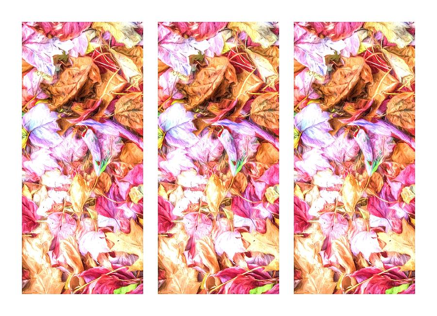 Leaves Duplicated Triptych Photograph by Alice Gipson