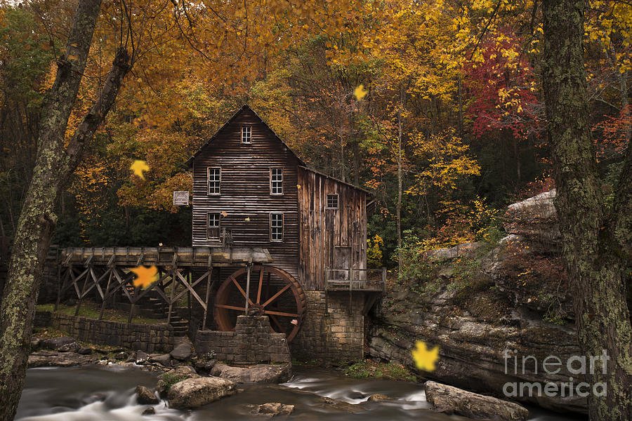Leaves falling at Grist Mill Photograph by Dan Friend