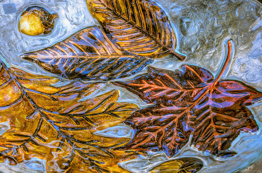 Bowl Photograph - Leaves in Glass by Lewis Mann