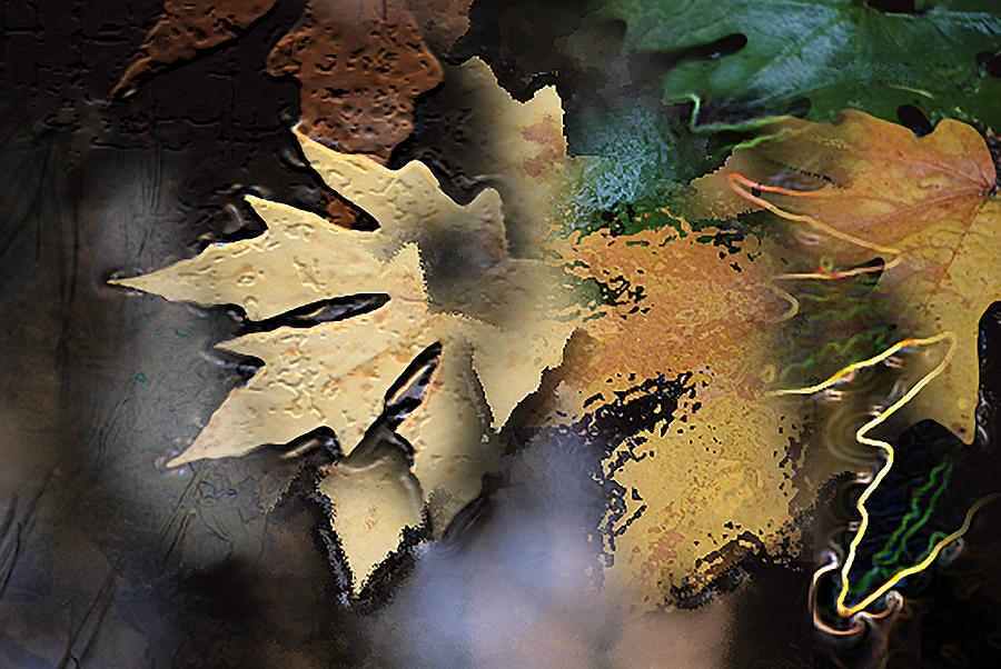 Abstract Digital Art - Leaves by Linda Carruth