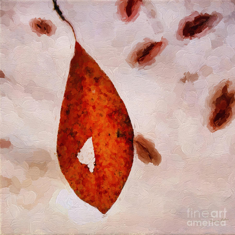 Leaves of AutumnII Photograph by Darren Fisher