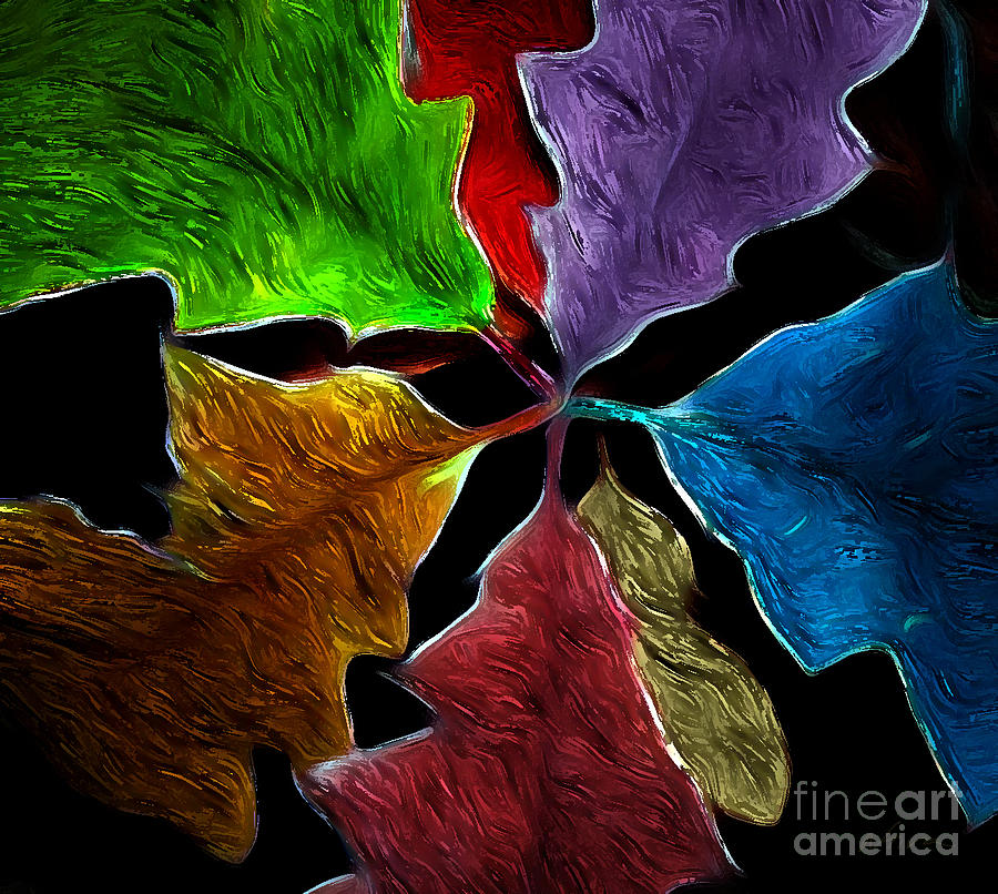 Leaves Photograph - Leaves of Color by Deena Athans